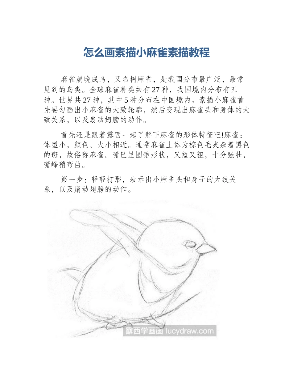 怎么画素描小麻雀素描教程_第1页