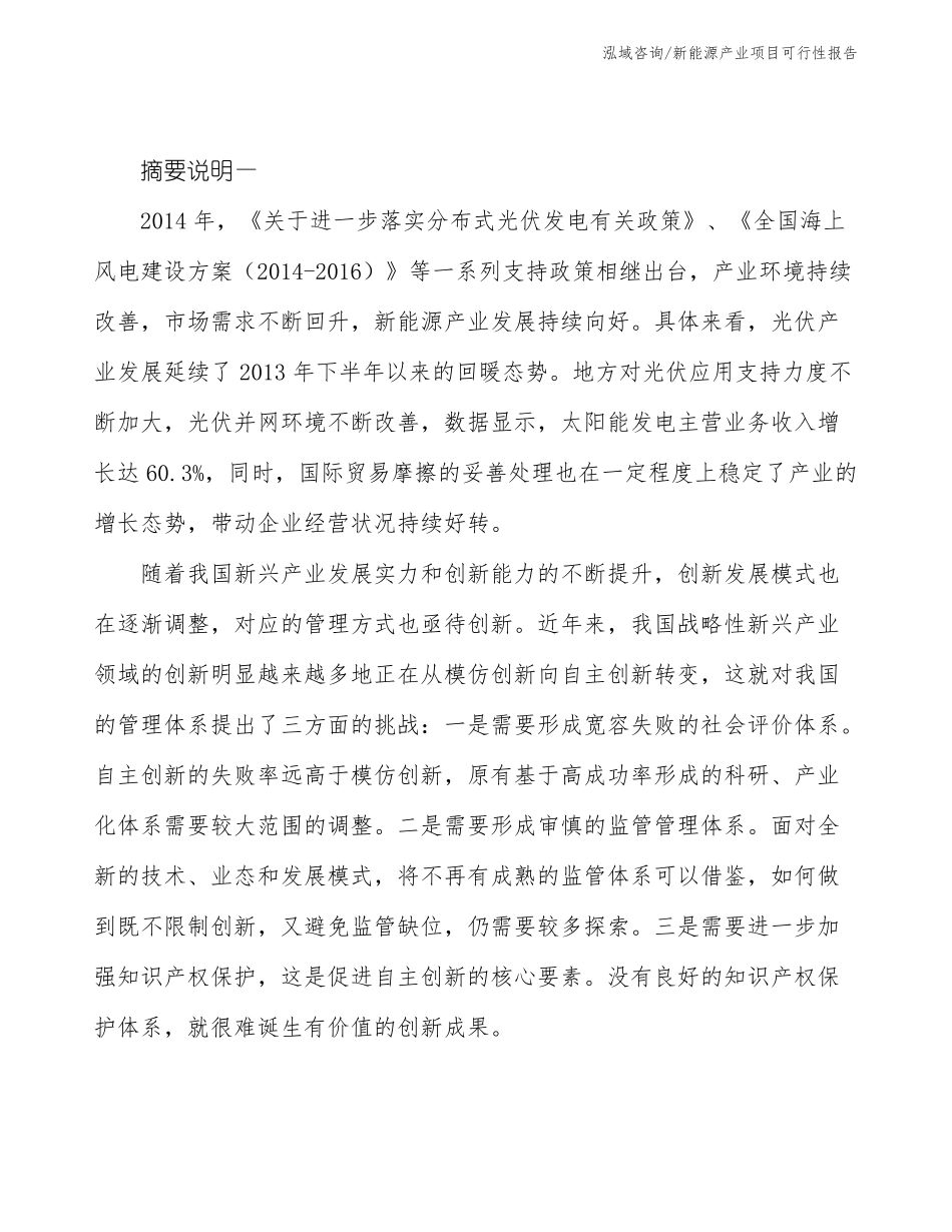 新能源产业项目可行性报告_第2页