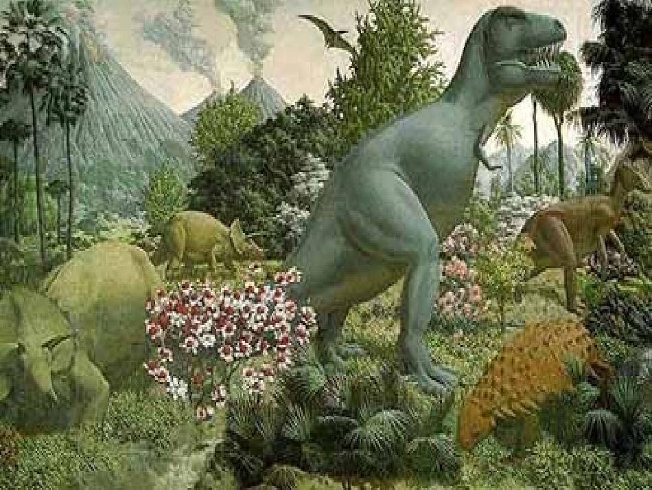 《恐龙的灭绝》教学课件1_第3页