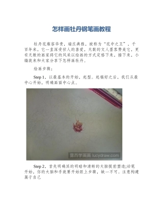 怎样画牡丹钢笔画教程