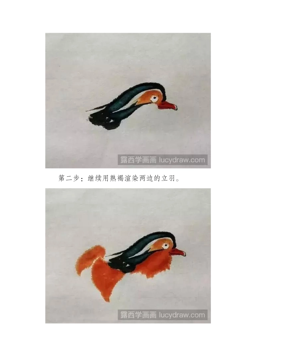 鸳鸯怎么画_鸳鸯的国画步骤有哪些_国画教程_第2页