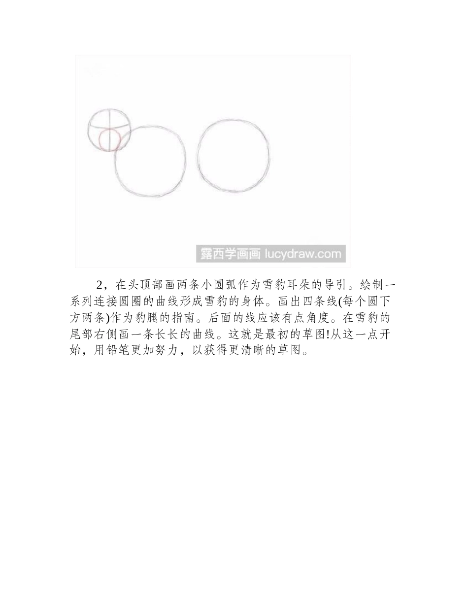 雪豹的素描画法素描教程_第2页