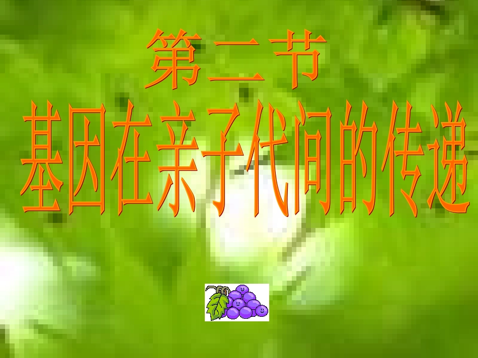 人教版八下第二章第二节基因在亲子代间的传递(共51张PPT)_第3页