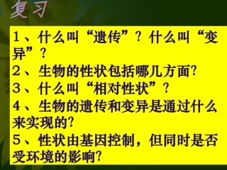 人教版八下第二章第二节基因在亲子代间的传递(共51张PPT)