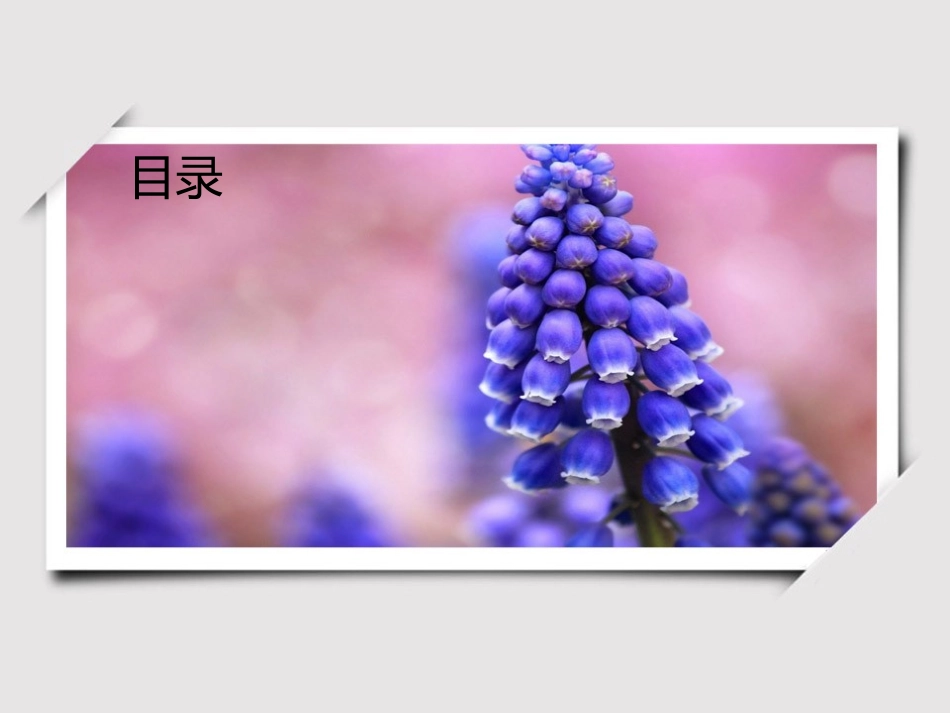2014元旦-新年年会温馨方案_第2页