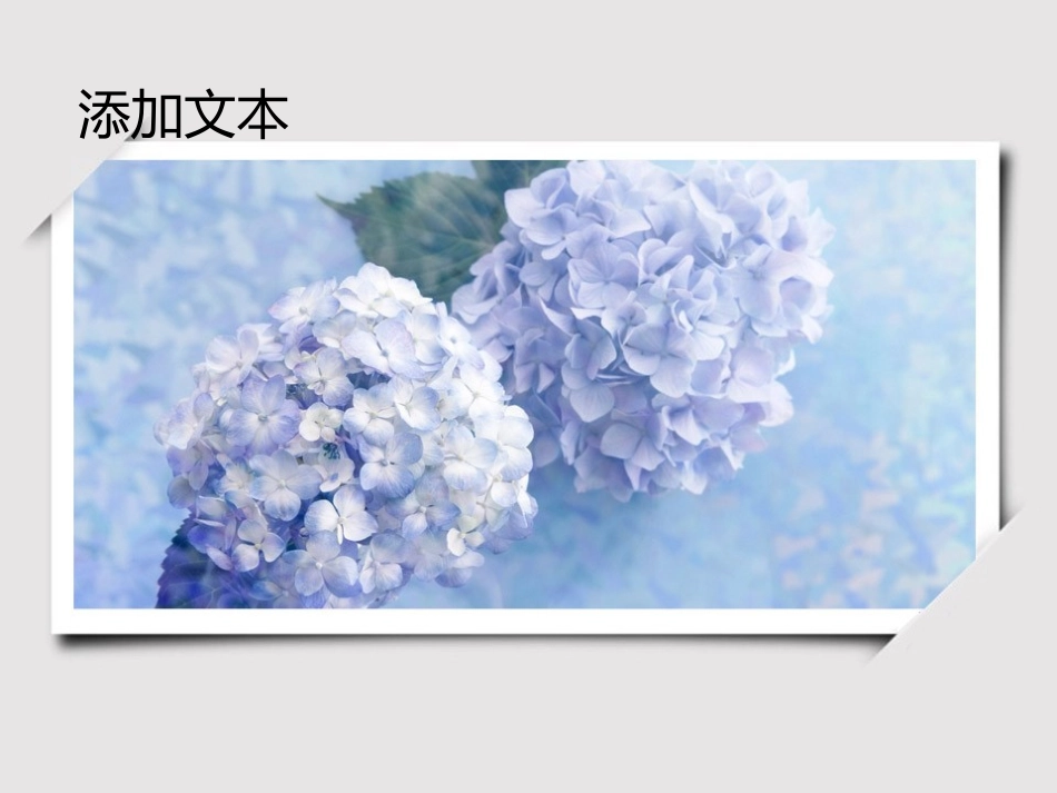 2014元旦-新年年会温馨方案_第3页