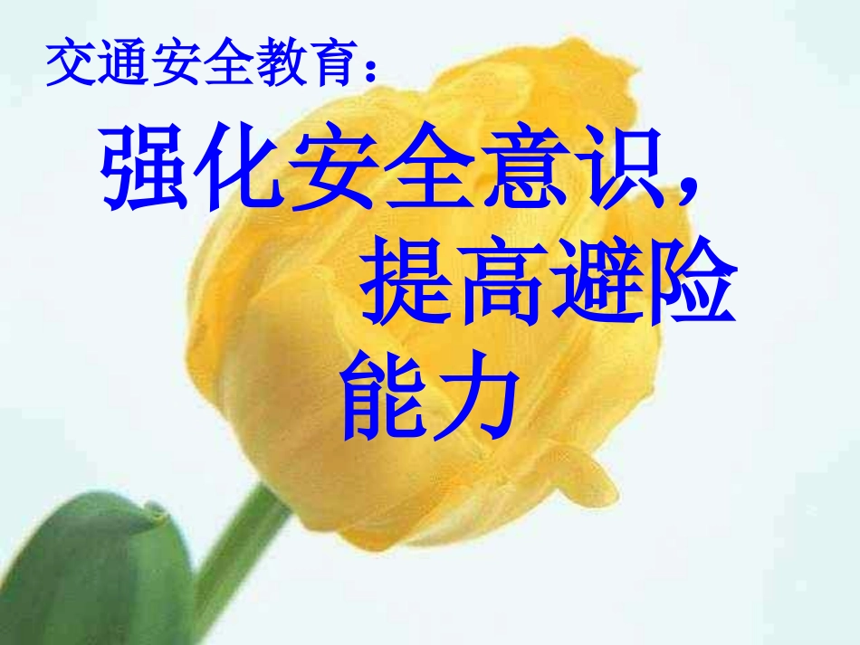 “强化安全意识-提高避险能力”主题班队会_第1页