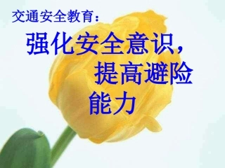 “强化安全意识-提高避险能力”主题班队会