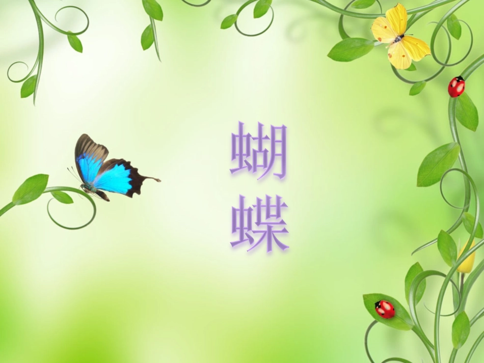 蝴蝶-课件2_第2页
