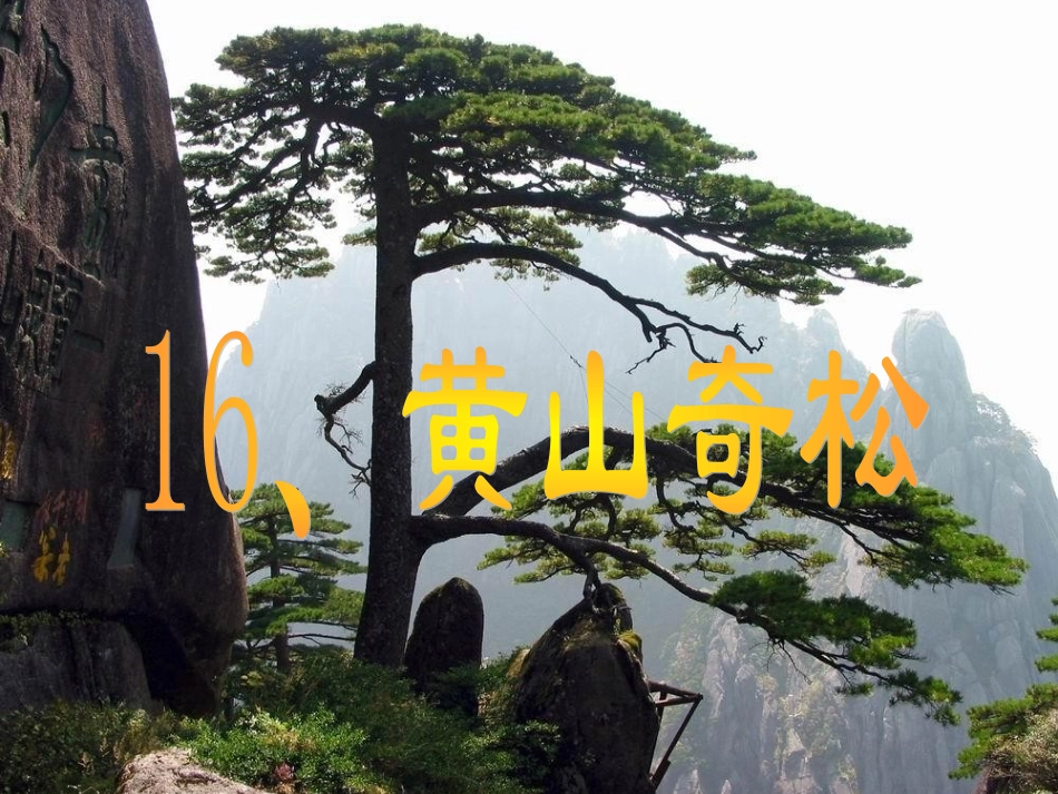 16、上课《黄山奇松》课件_第1页
