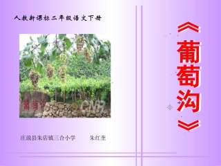 新课标人教版二年级下册语文《葡萄沟PPT课件》