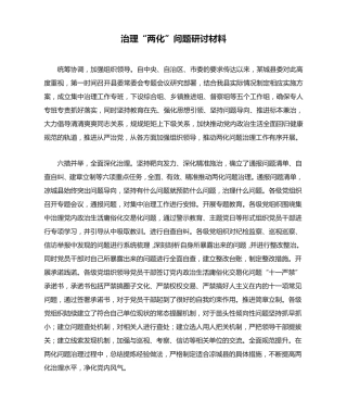 治理“两化”问题研讨材料 