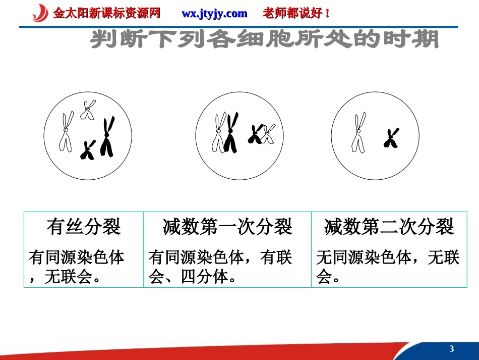 2.1-减数分裂-课件(人教版必修二)_第3页