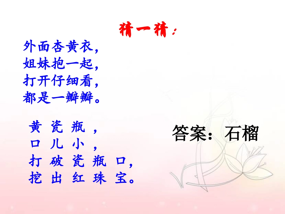 《石榴的故事》课件_第1页