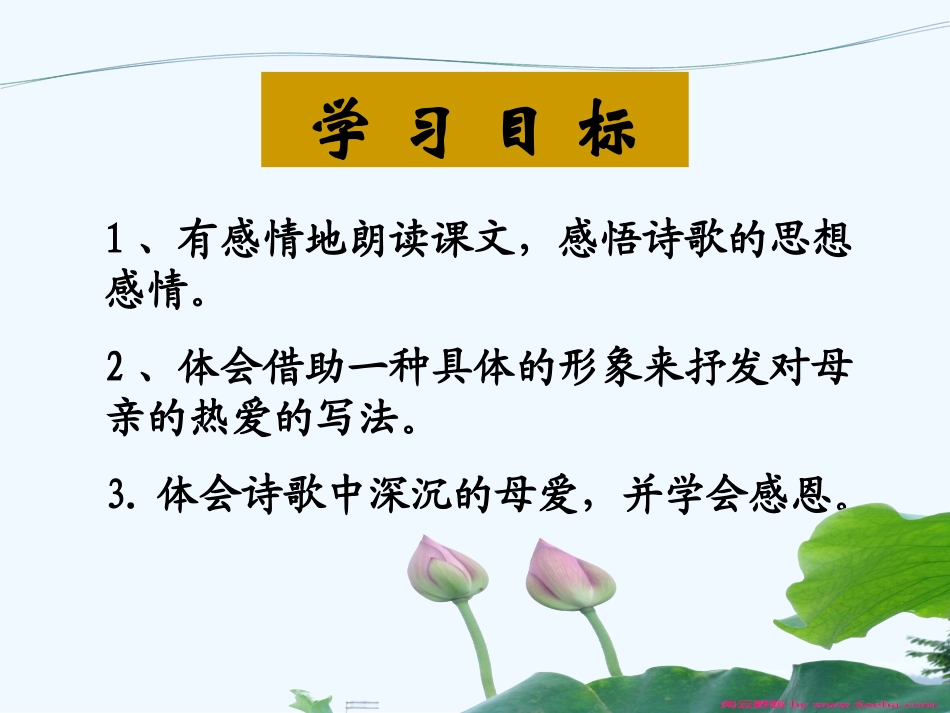 (部编)初中语文人教2011课标版七年级上册荷叶·母亲-(9)_第2页
