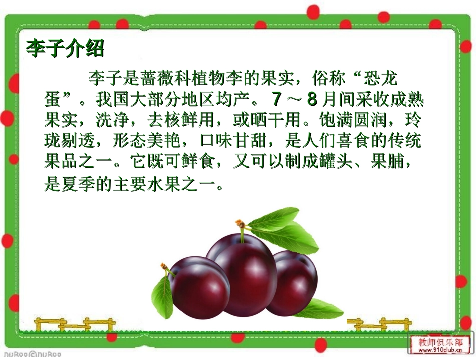 19《李子核》_第2页
