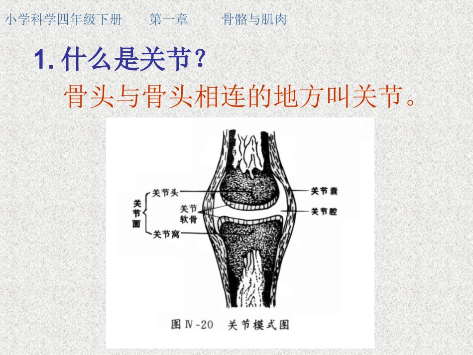 四下科一2关节_第3页