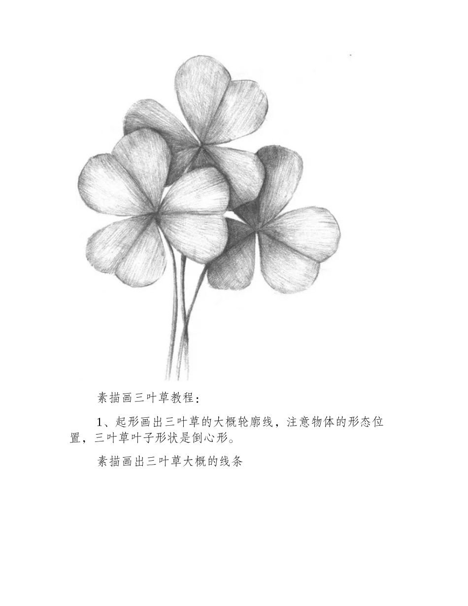 自学素描：素描画三叶草教程素描教程1_第2页