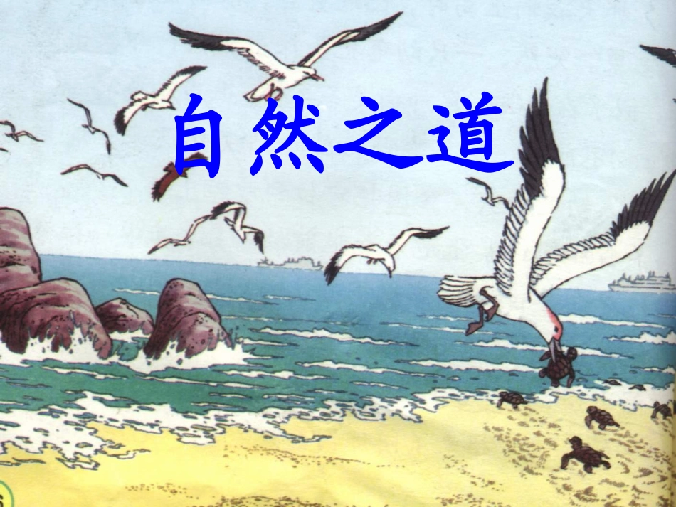 人教版四年级语文下册《自然之道》_第1页
