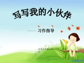 写写我的小伙伴