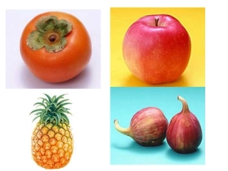 综合实践《水果的秘密》