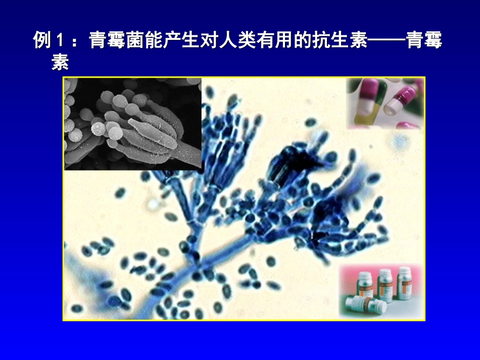 基因工程的基本内容huang(11)_第3页