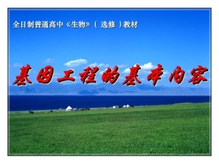 基因工程的基本内容huang(11)