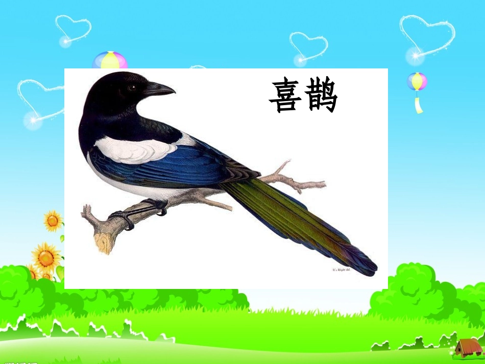 (部编)人教语文2011课标版一年级下册树和喜鹊——石河子第九中学-张鹏_第1页