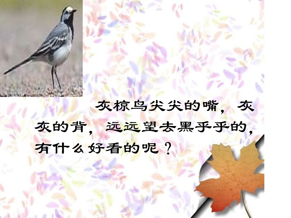 25、灰椋鸟_第3页