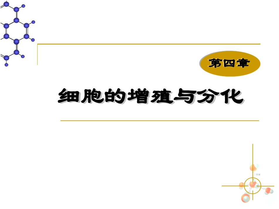 人教版必修一第六章第一节细胞的增殖(共41张PPT)_第1页
