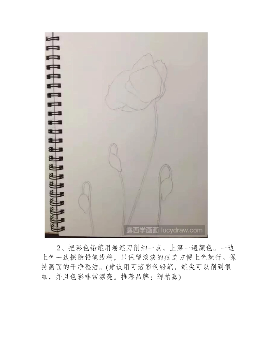 虞美人水彩画怎么画_简单的丽春花画法水彩画教程_第2页