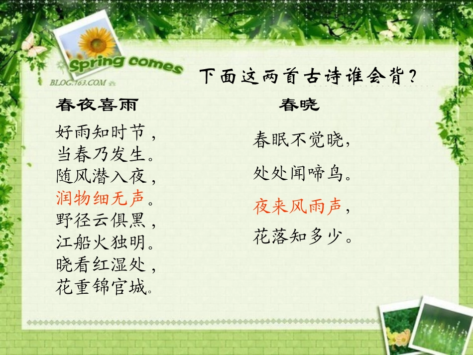 雨下得有多大ppt_第3页