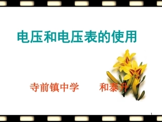 134电压和电压表的使用