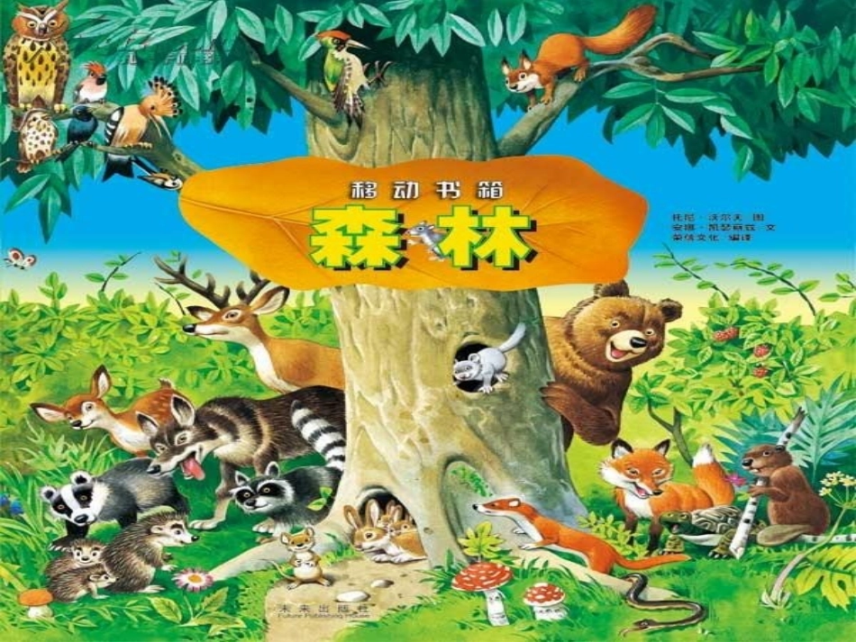 《拱形的力量》课件_第2页
