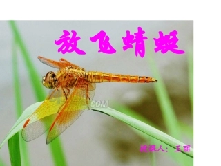 《放飞蜻蜓》