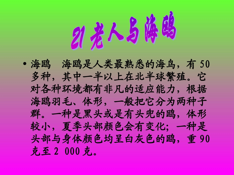 人教版小学语文六年级上册《老人与海鸥》PPT课件_第1页