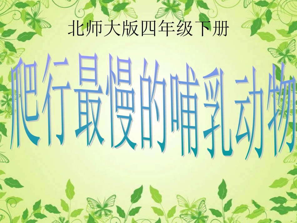 《爬行最慢的哺乳动物》课件_第3页