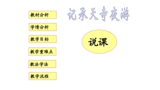 记承天寺夜游(s)