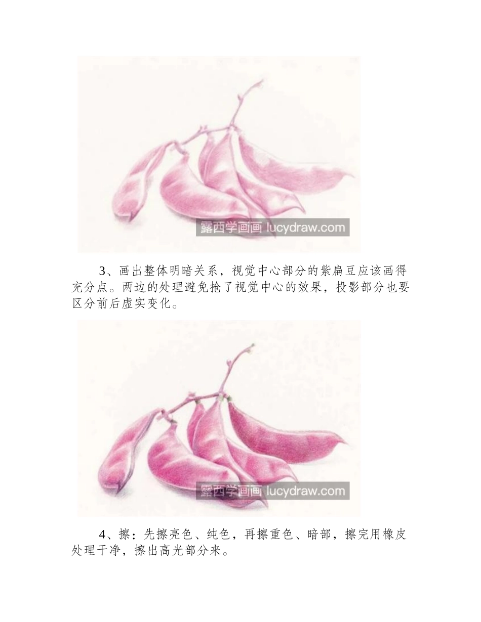 紫扁豆怎么画_有哪些绘画步骤_儿童画教程_第2页