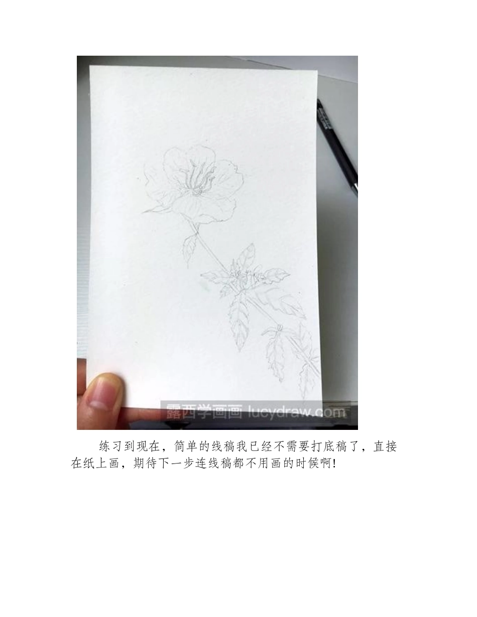 月见草水彩画怎么画_水彩画月见草步骤图水彩画教程_第2页