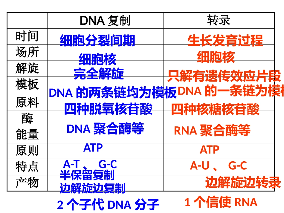 4.1基因指导蛋白质合成_第2页