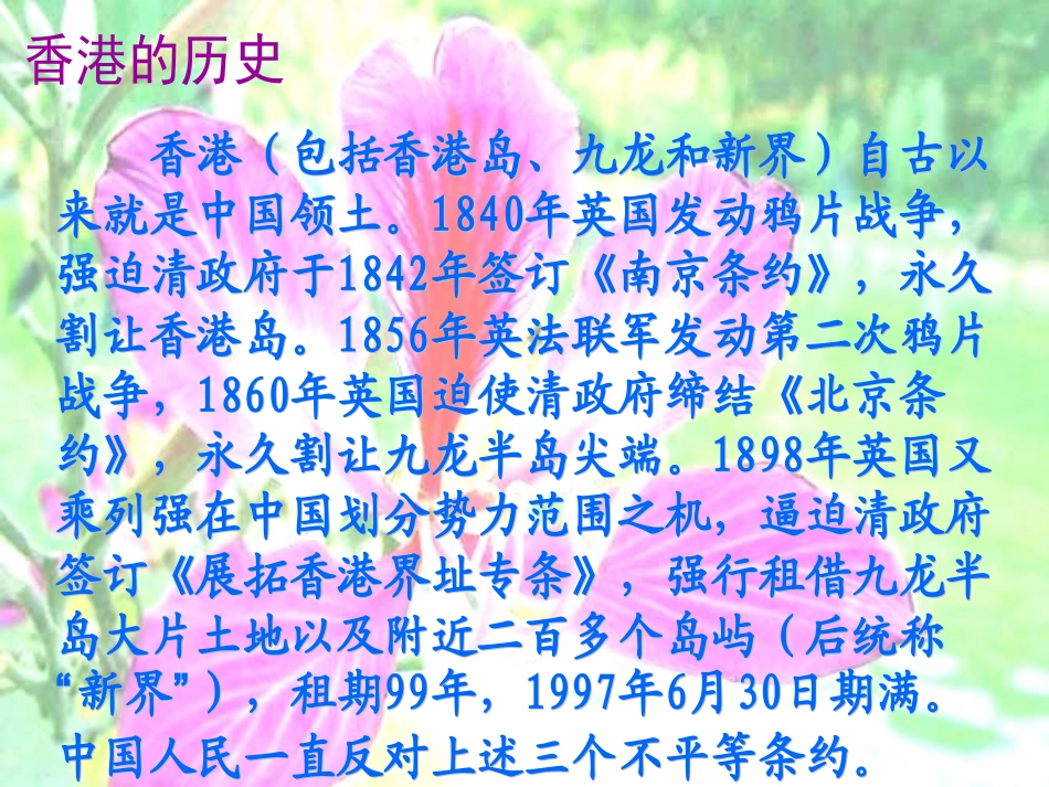 小学五年级上册语文《最后一分钟》_第3页