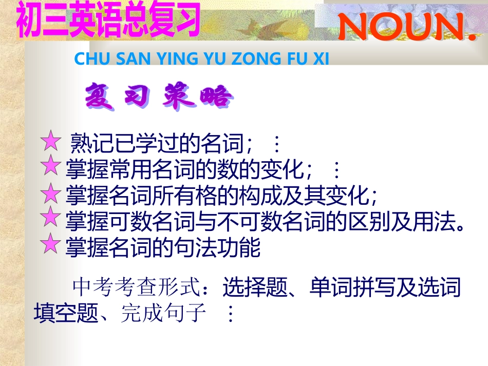 初中语法精讲--名词_第2页