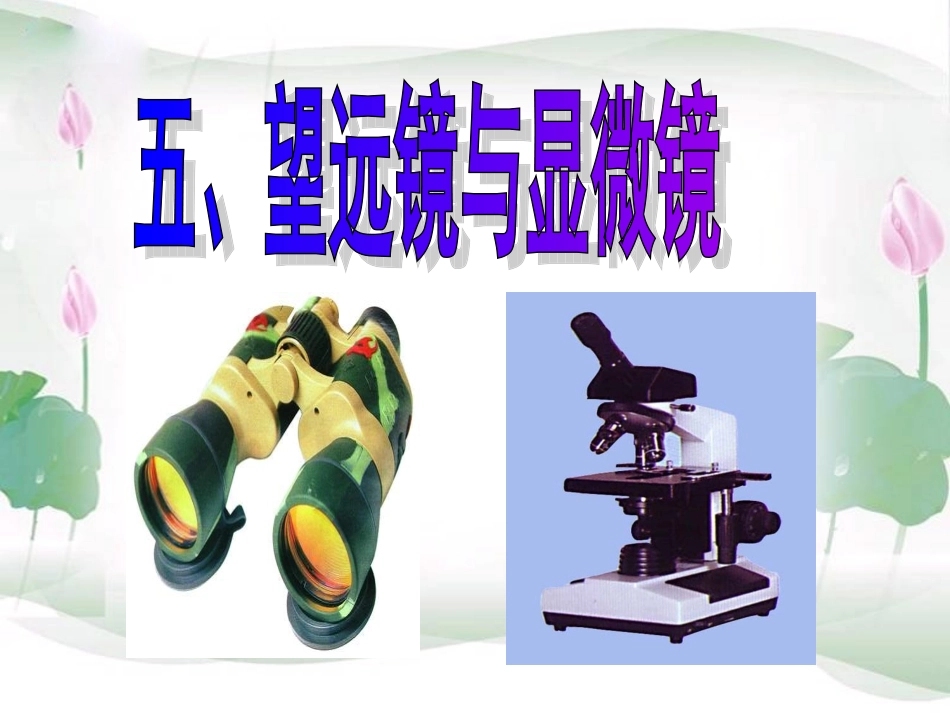 显微镜和望远镜_第2页