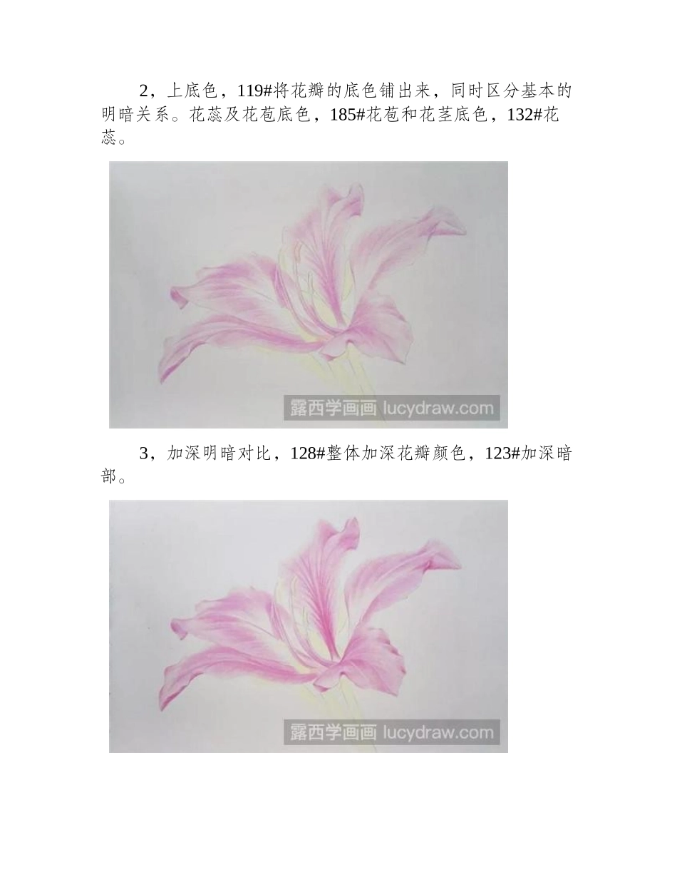 紫荆花彩铅画教程彩铅画教程_第2页