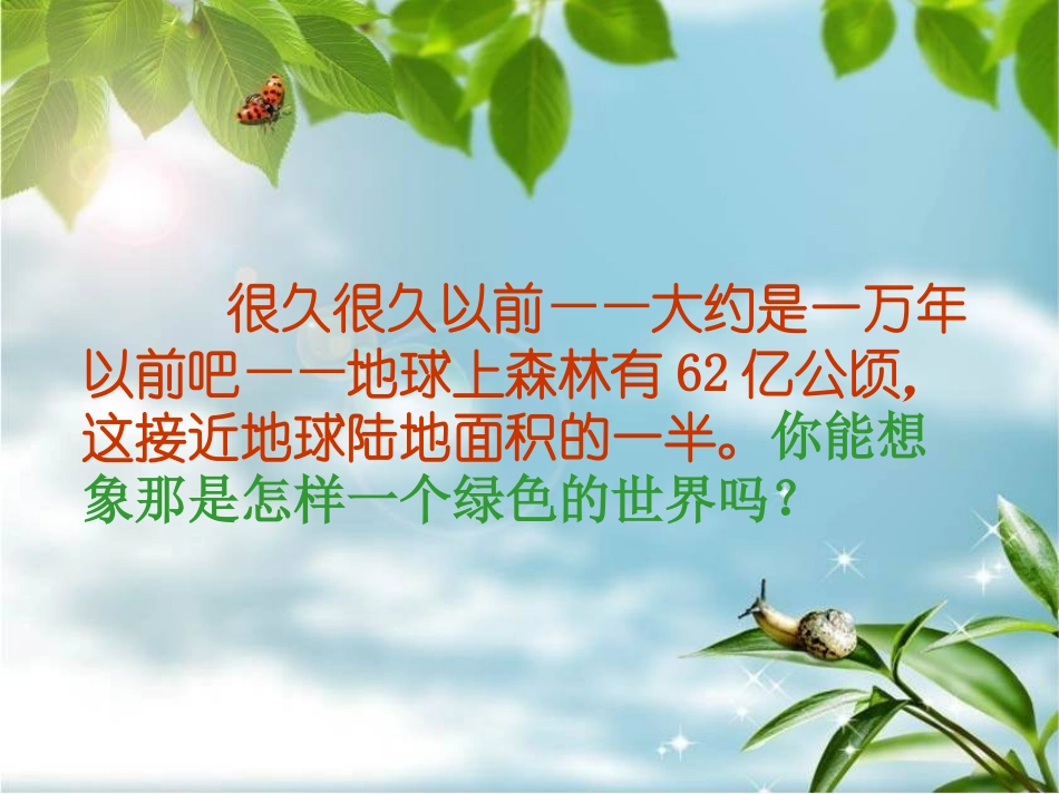 14。长童话的森林课件新_第3页