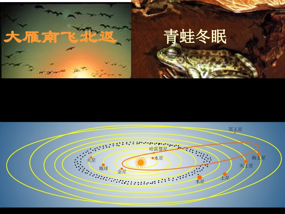 必修4：42认识运动把握规律_第1页