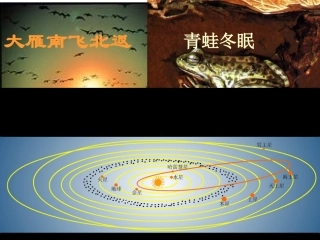 必修4：42认识运动把握规律