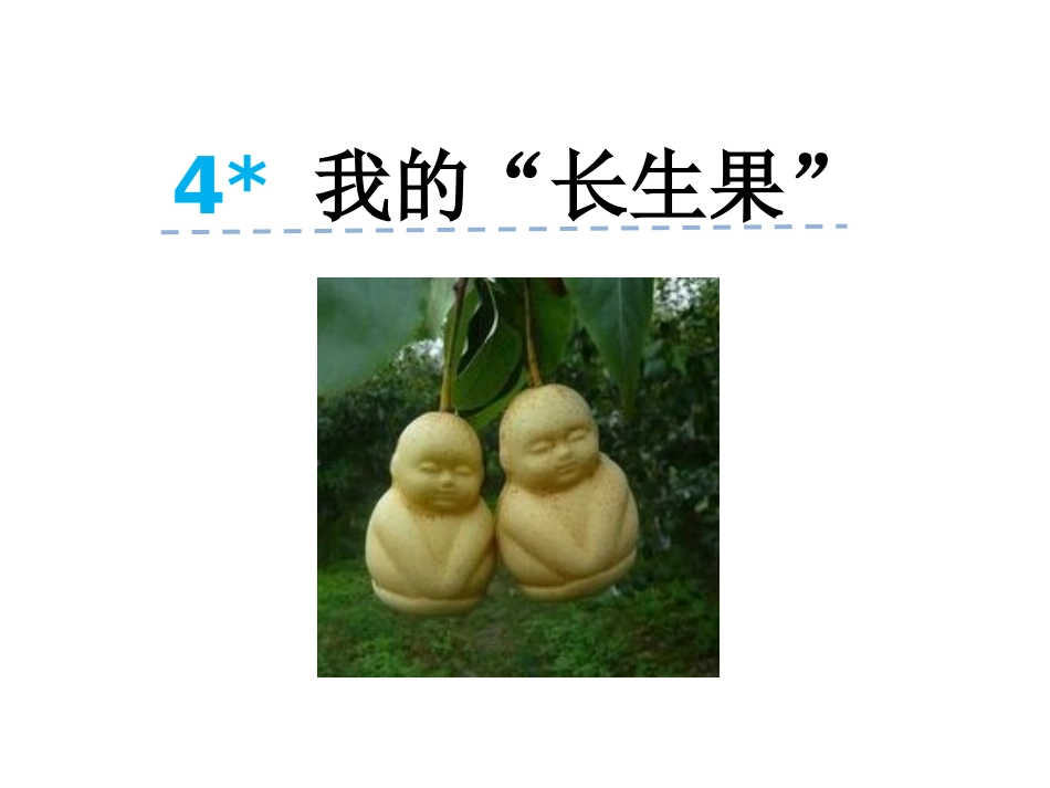 4-我的“长生果”_第1页