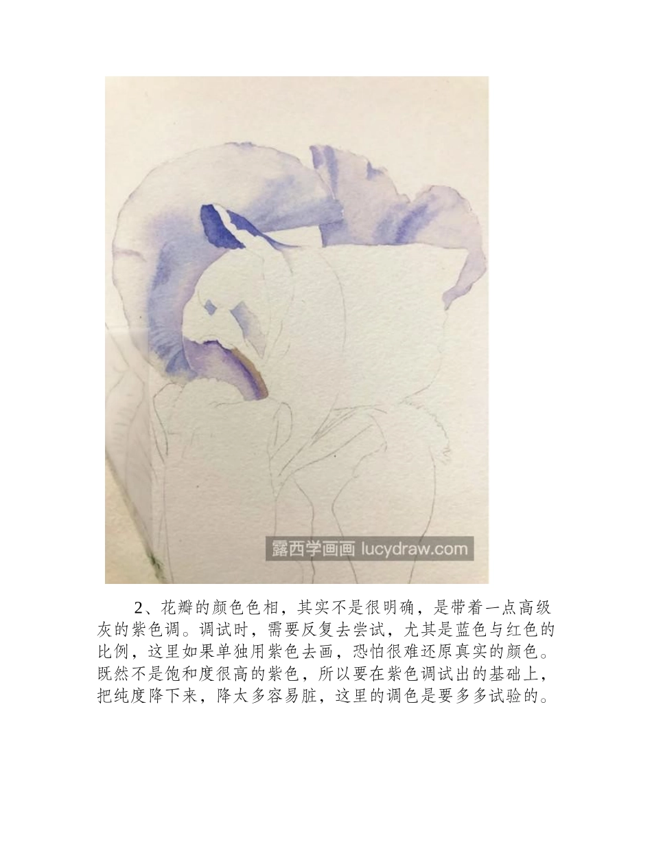 鸢尾花怎么画_详细的水彩画法是吗_水彩画教程_第2页